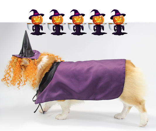 Funny Pet Dog Halloween Party Witch Cape Custome Cat Outfit Clothes Witches Suit