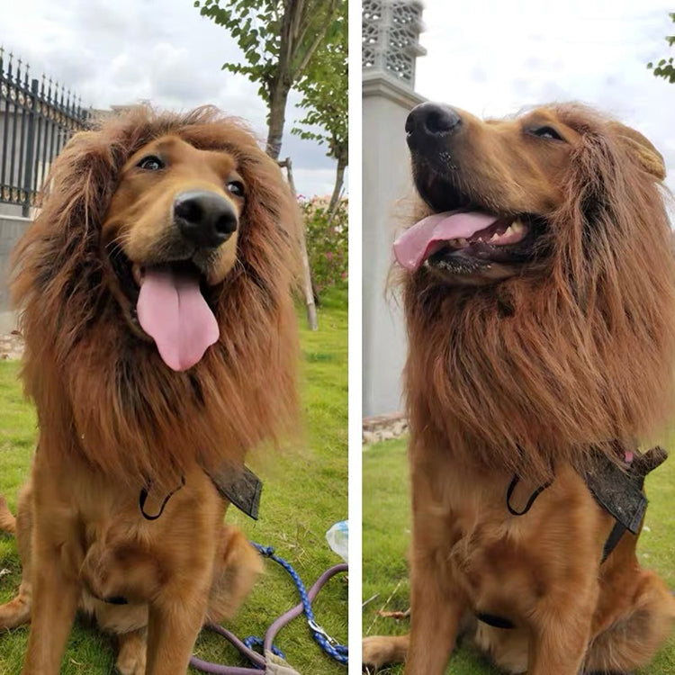 Dog Costume Lion Mane Wig w/ Ears for Large Pet Halloween Cloth Funny Dress up