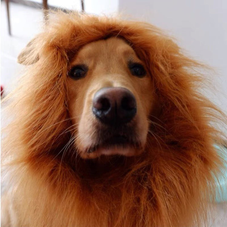 Dog Costume Lion Mane Wig w/ Ears for Large Pet Halloween Cloth Funny Dress up